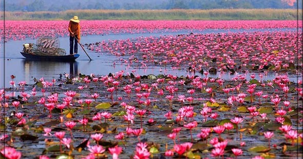 HAPPY WEEKEND | MAZHAVILS GREETINGS, happy birthday sister images in kannada